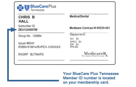Health (2 days ago) Bluecare Plus Tennessee Otc Orders. . What is bluecare plus